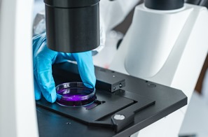 About Us | Tema Diagnostics